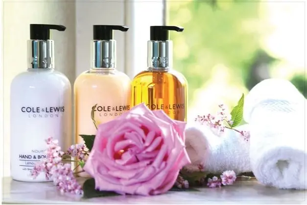 Deluxe Tek Büyük Yataklı Oda, Banyolu/Duşlu, Dağ Manzaralı