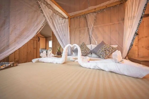 Luxury Oda
