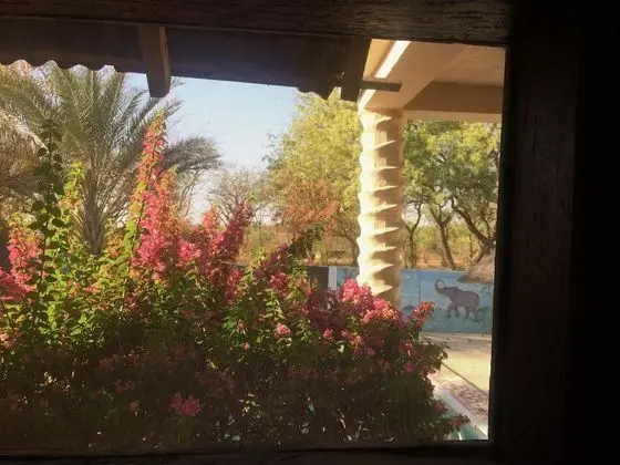 Tek Büyük Yataklı Oda, Havuz Manzaralı
