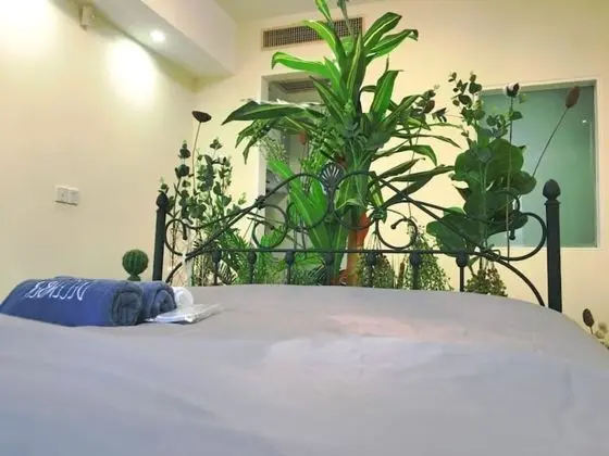 Exclusive Stüdyo, Şehir Manzaralı