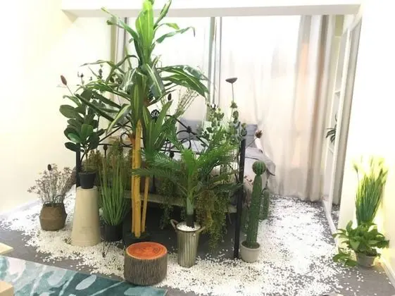 Exclusive Stüdyo, Şehir Manzaralı