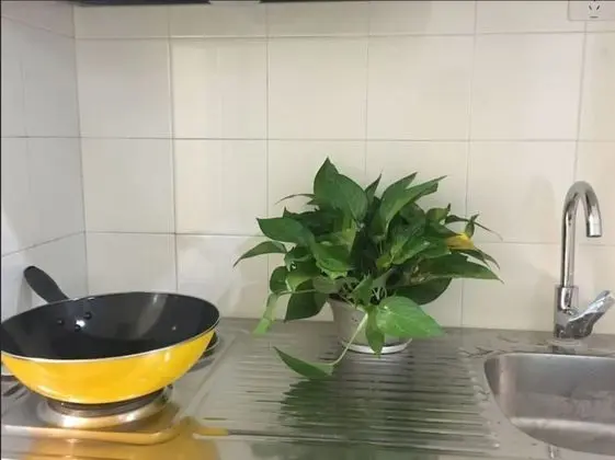 Exclusive Stüdyo, Şehir Manzaralı