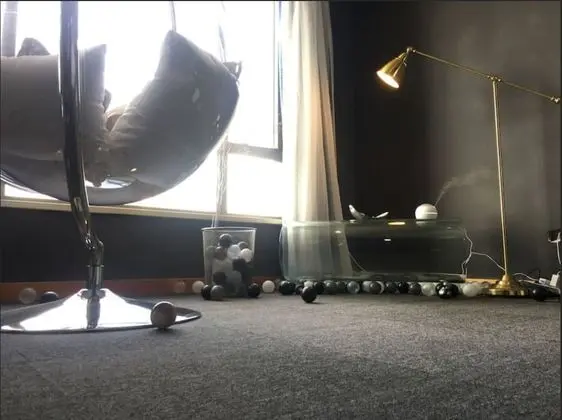 Exclusive Stüdyo, Şehir Manzaralı