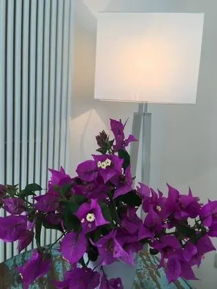Deluxe Tek Büyük veya İki Ayrı Yataklı Oda, Deniz Manzaralı