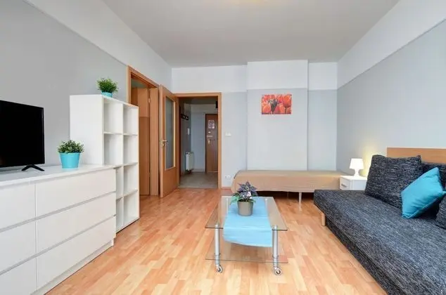 Apart Daire, 1 Yatak Odası