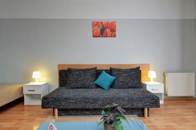 Apart Daire, 1 Yatak Odası