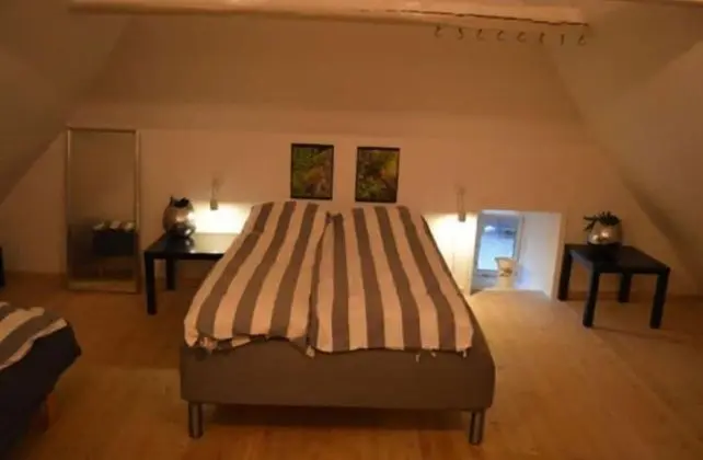 Tek Büyük Yataklı Oda (3 person)
