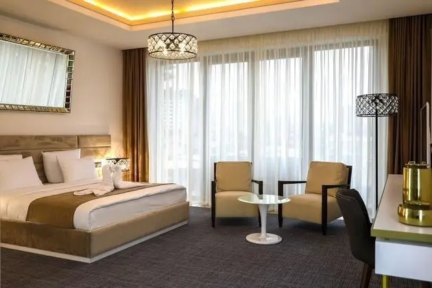 Standard Tek Büyük Yataklı Oda, 1 En Büyük (King) Boy Yatak, Sigara İçilmez, Şehir Manzaralı
