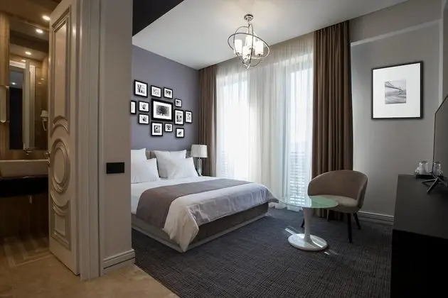 Standard Tek Kişilik Oda, 1 En Büyük (King) Boy Yatak, Sigara İçilmez, Şehir Manzaralı