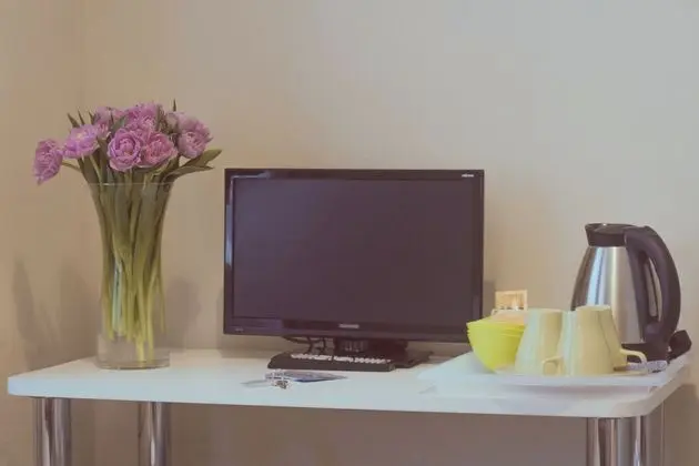 Televizyon