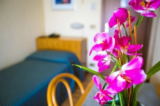 Standard Tek Kişilik Oda, 1 Tek Kişilik Yatak