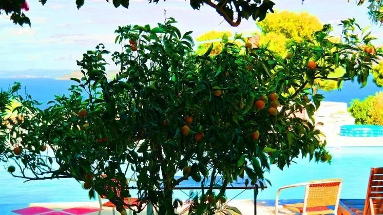 Grand Villa, Birden Çok Yatak Odası, Kişiye Özel Havuzlu