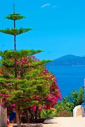 Grand Villa, Birden Çok Yatak Odası, Kişiye Özel Havuzlu