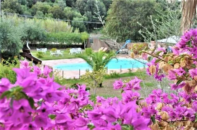 Basic Tek Büyük Yataklı Oda, 1 Çift Kişilik Yatak