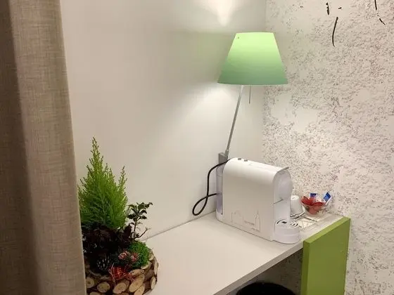 Superior Tek Büyük veya İki Ayrı Yataklı Oda (Flamingo)