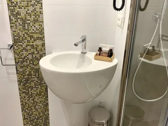 Superior Tek Büyük veya İki Ayrı Yataklı Oda (Flamingo)