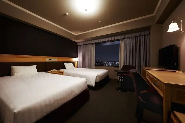 Superior İki Ayrı Yataklı Oda, Sigara İçilebilir, Şehir Manzaralı (25 sq.m.)