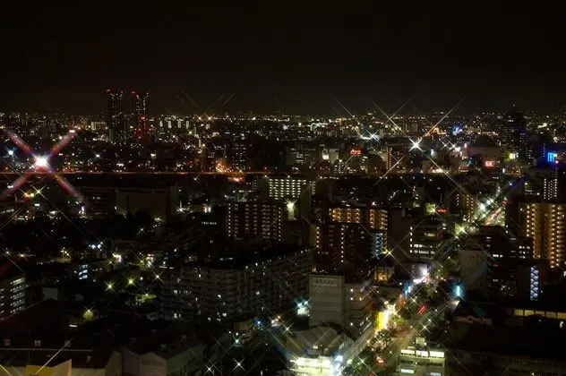 Superior İki Ayrı Yataklı Oda, Sigara İçilebilir, Şehir Manzaralı (25 sq.m.)