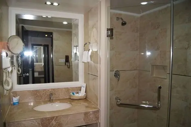 Premier Oda, 1 Yatak Odası, Özel Banyo