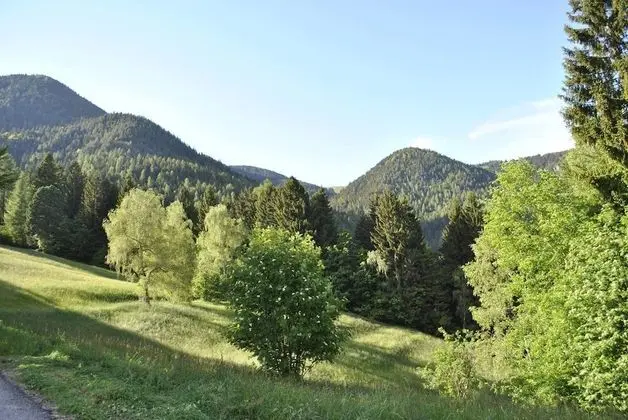 Classic Tek Büyük Yataklı Oda, Dağ Manzaralı