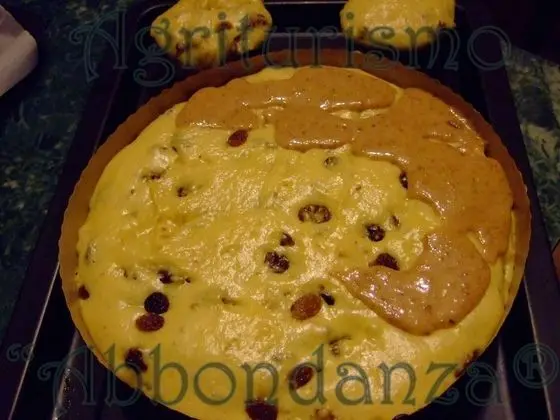 Oda, 1 Yatak Odası, Şömine