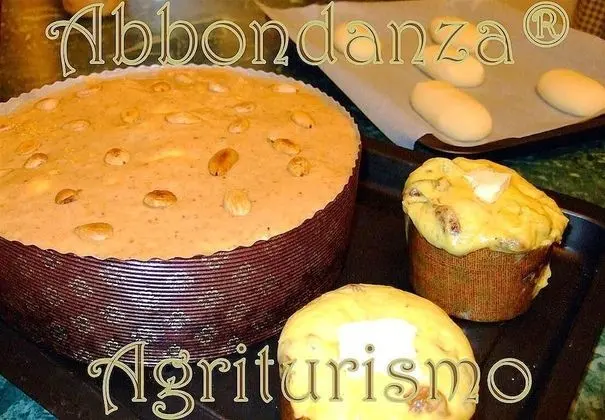 Oda, 1 Yatak Odası, Şömine