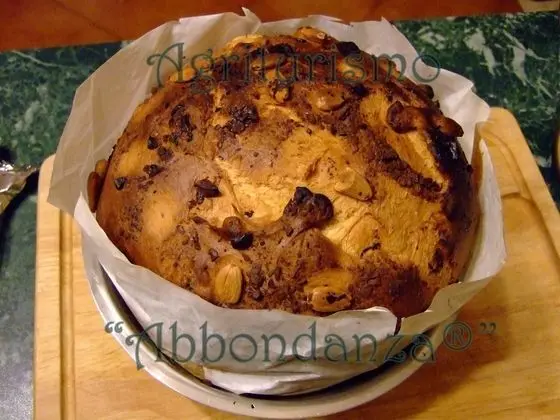 Oda, 1 Yatak Odası, Şömine