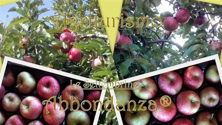 Oda, 1 Yatak Odası, Şömine