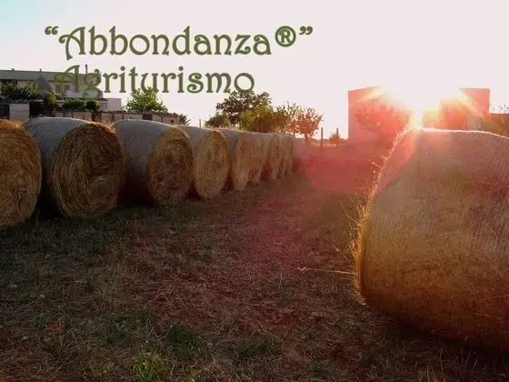 Oda, 1 Yatak Odası, Şömine