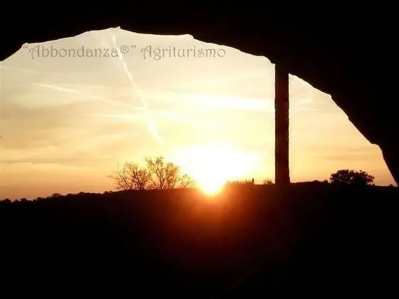 Oda, 1 Yatak Odası, Şömine