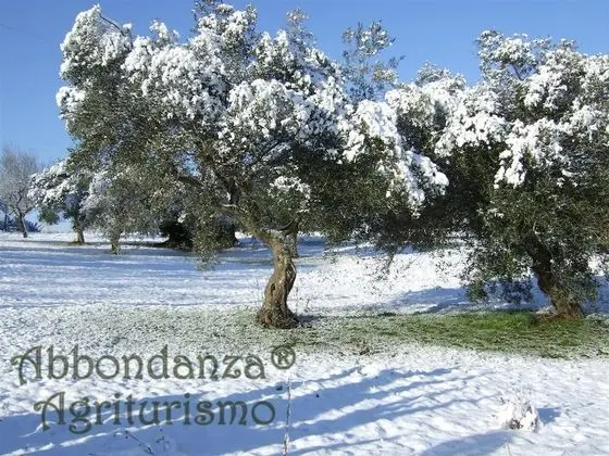 Oda, 1 Yatak Odası, Şömine