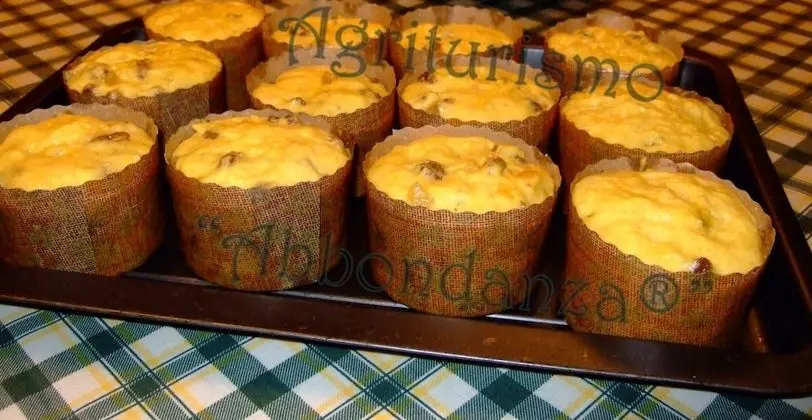 Oda, 1 Yatak Odası, Şömine