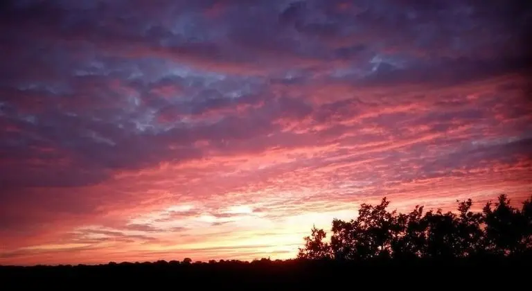 Oda, 1 Yatak Odası, Şömine