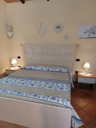 Standard Tek Büyük Yataklı Oda, Banyolu/Duşlu, Bahçeli