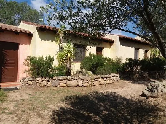 Standard Tek Büyük Yataklı Oda, Banyolu/Duşlu, Bahçeli