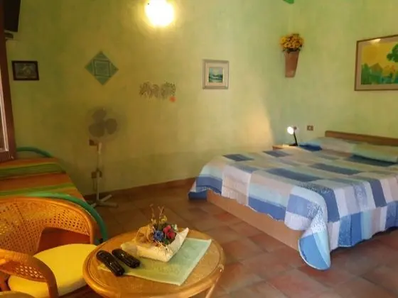 Standard Tek Büyük Yataklı Oda, Banyolu/Duşlu, Bahçeli