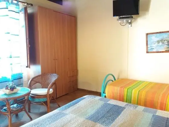 Standard Tek Büyük Yataklı Oda, Banyolu/Duşlu, Bahçeli