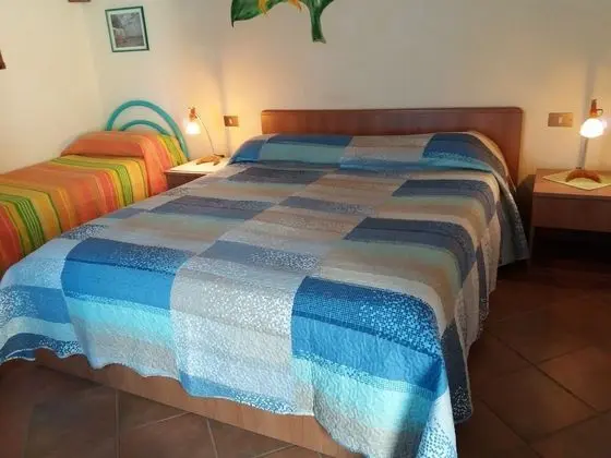 Standard Tek Büyük Yataklı Oda, Banyolu/Duşlu, Bahçeli