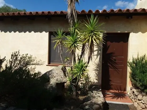 Standard Tek Büyük Yataklı Oda, Banyolu/Duşlu, Bahçeli