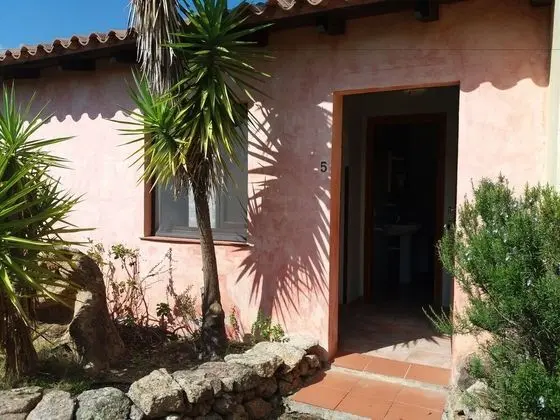 Standard Tek Büyük Yataklı Oda, Banyolu/Duşlu, Bahçeli