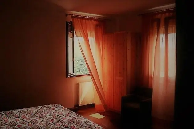Basic Tek Kişilik Oda, Tepe Manzaralı (Lobau)