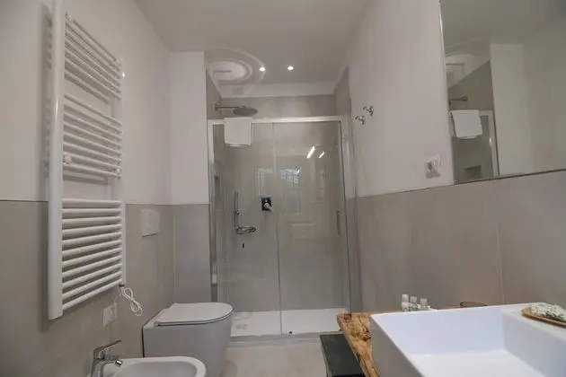 Standard Tek Büyük veya İki Ayrı Yataklı Oda, Banyolu/Duşlu