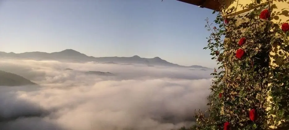 Apart Daire, 1 Yatak Odası, Teras (Donnola)