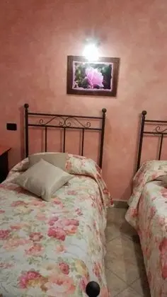 Deluxe Tek Büyük veya İki Ayrı Yataklı Oda, 2 Tek Kişilik Yatak (Rosa)