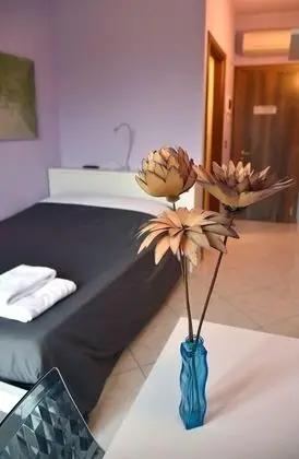 Economy Tek Büyük Yataklı Oda, 1 Çift Kişilik Yatak, Buzdolabı, Bahçe Manzaralı