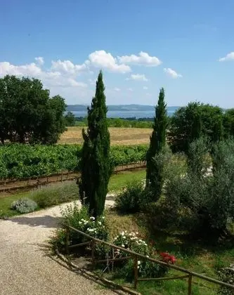 Comfort Tek Büyük Yataklı Oda, Bahçe Manzaralı