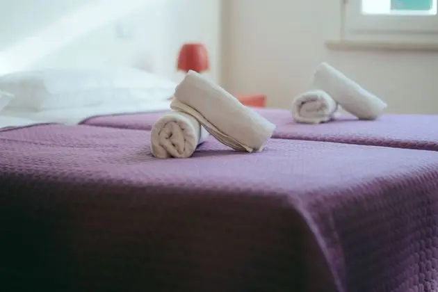 Standard Tek Büyük Yataklı Oda, Özel Banyo, Bahçe Manzaralı