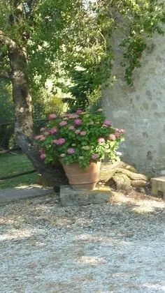 Apart Daire, 4 Yatak Odası, Ek Bina (Capanna)