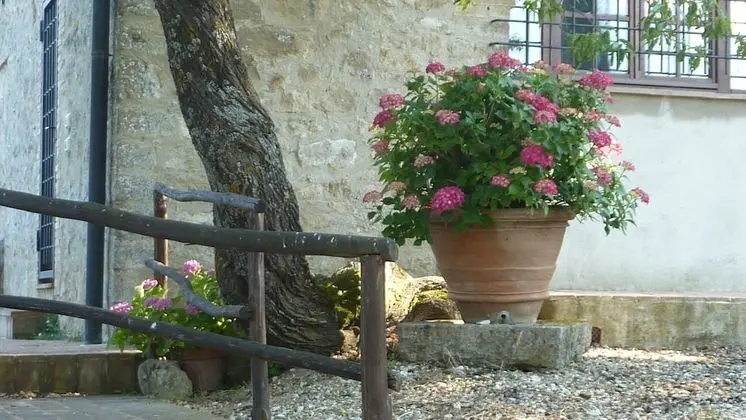 Apart Daire, 4 Yatak Odası, Ek Bina (Capanna)