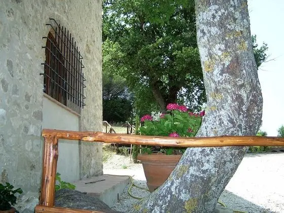 Apart Daire, 4 Yatak Odası, Ek Bina (Capanna)